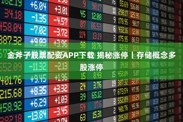 金斧子股票配资APP下载 揭秘涨停丨存储概念多股涨停