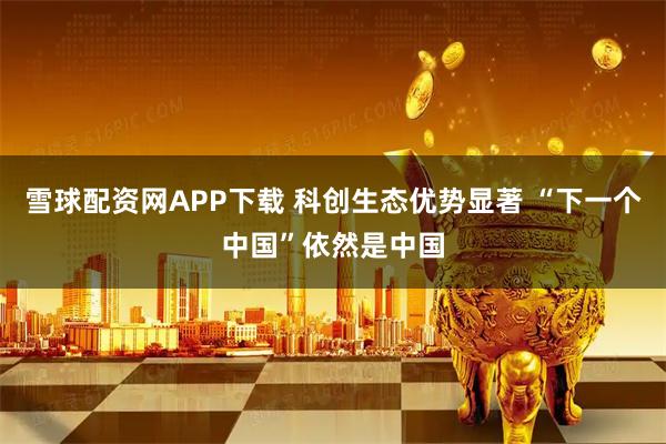 雪球配资网APP下载 科创生态优势显著 “下一个中国”依然是中国