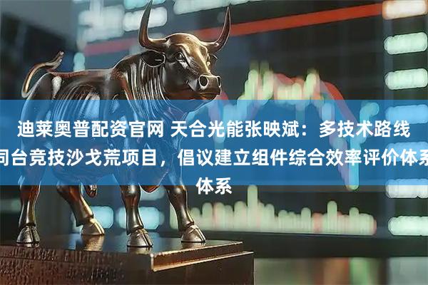 迪莱奥普配资官网 天合光能张映斌：多技术路线同台竞技沙戈荒项目，倡议建立组件综合效率评价体系