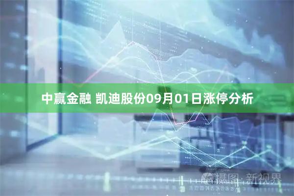 中赢金融 凯迪股份09月01日涨停分析